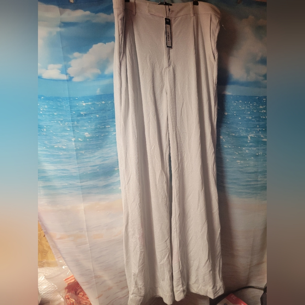 Steve Madden NWT Shine Knit Clean Front Silver Trouse Women's Size XL